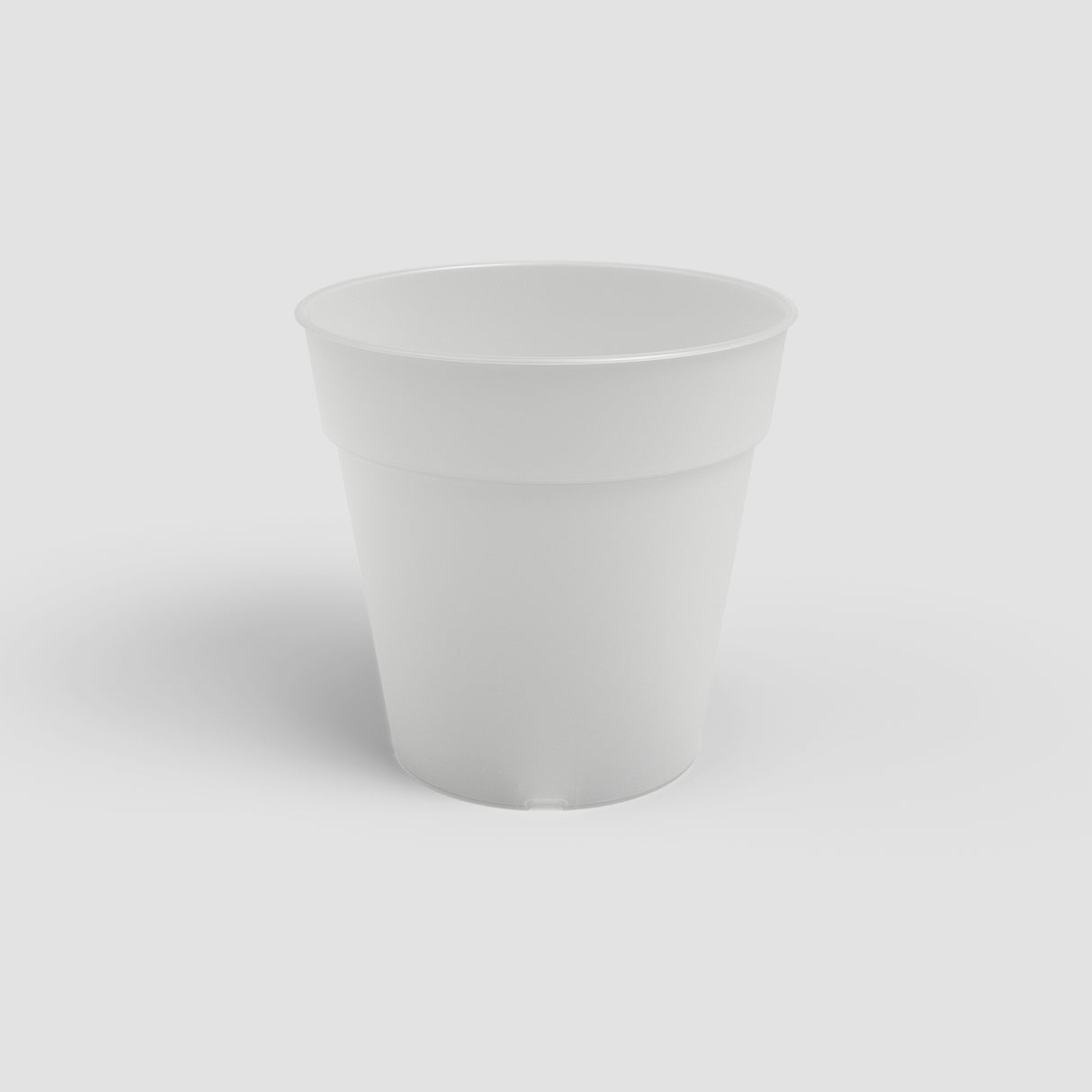 Madagascar Orchid Pot 15cm Clear