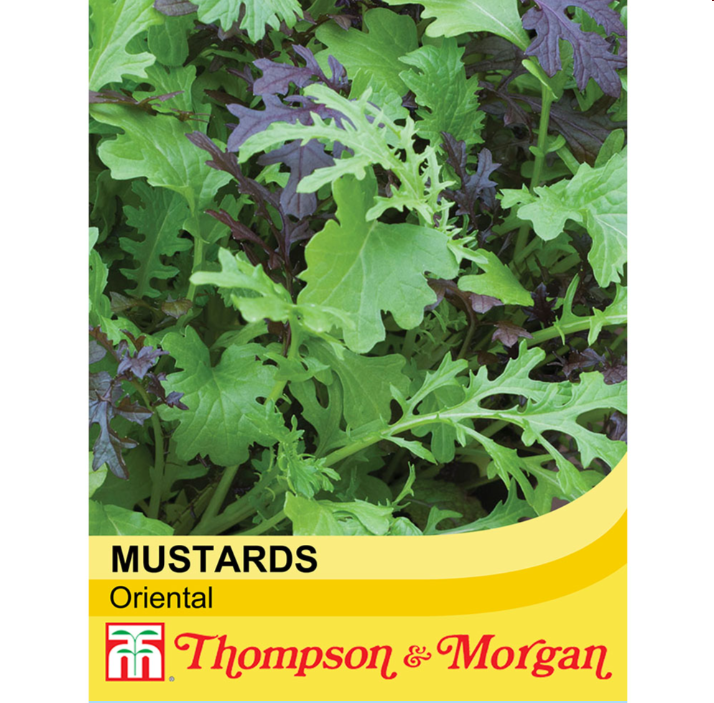 Thompson & Morgan Salad Leaves - Oriental Mustards