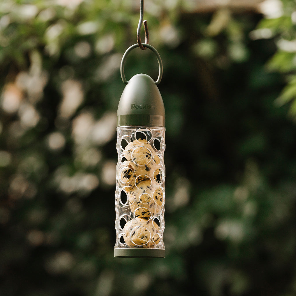 Peckish Extra Goodness Energy Ball Ready To Use Feeder