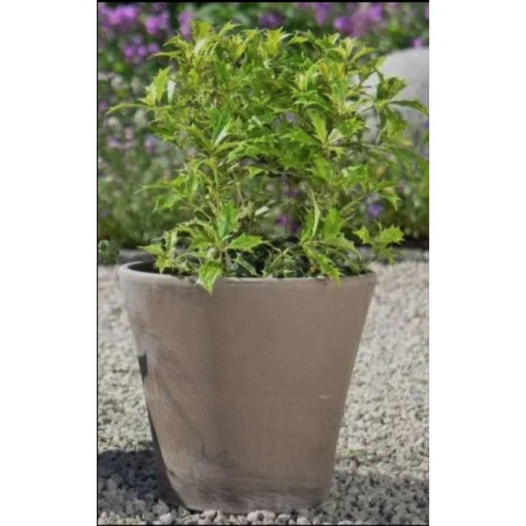 Rio Pot -Basalt 26cm x 23cm
