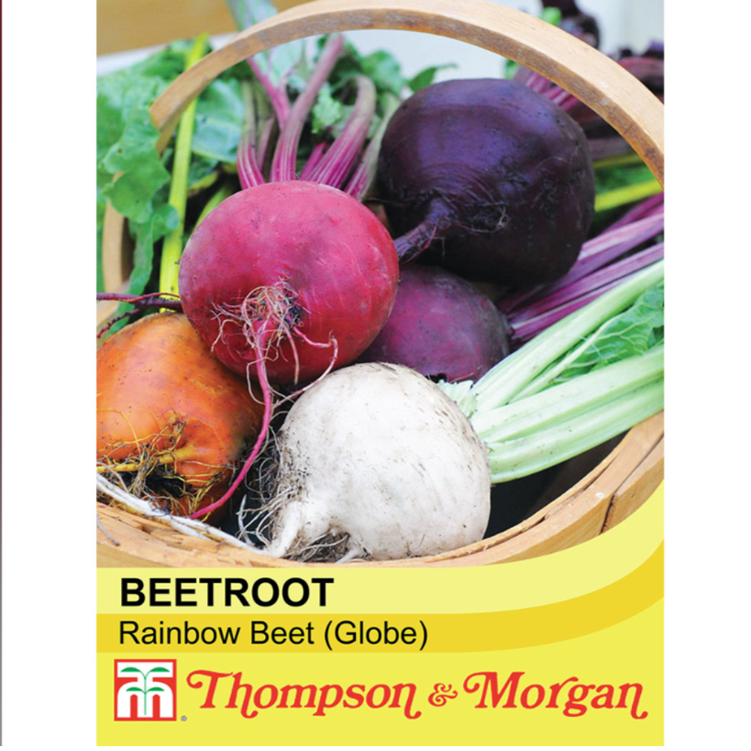 Thompson & Morgan - Beetroot Rainbow Beet Seeds