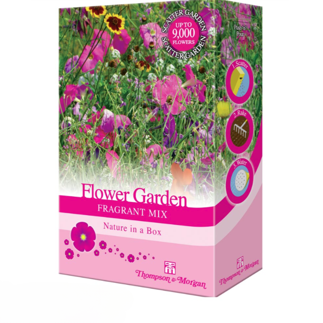 Thompson & Morgan - Flower Garden Fragrant Mix