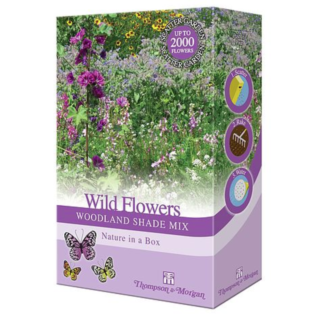 Thompson & Morgan - Wild Flowers Woodland Shade Mix