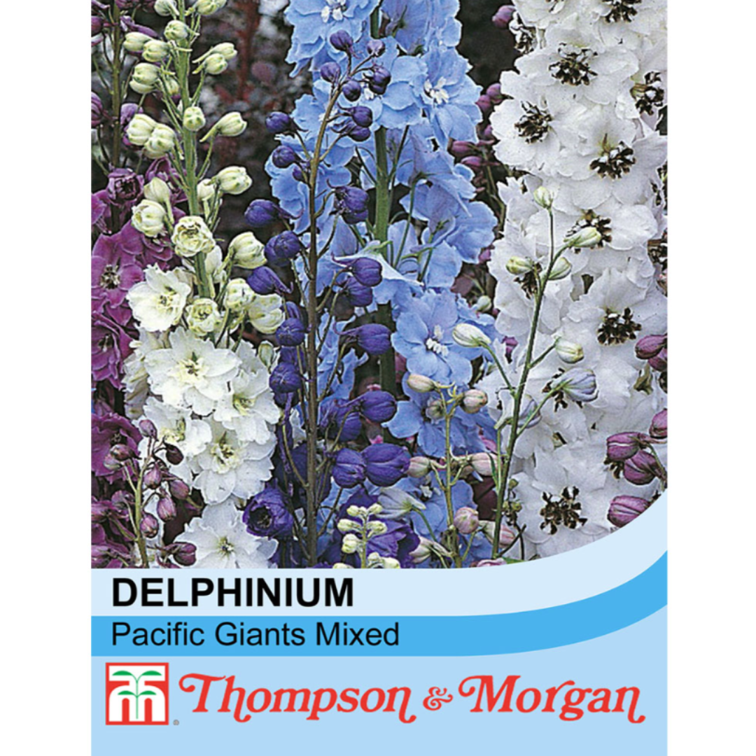 Thompson & Morgan - Delphinium Pacific Hybrids Mixed Seeds