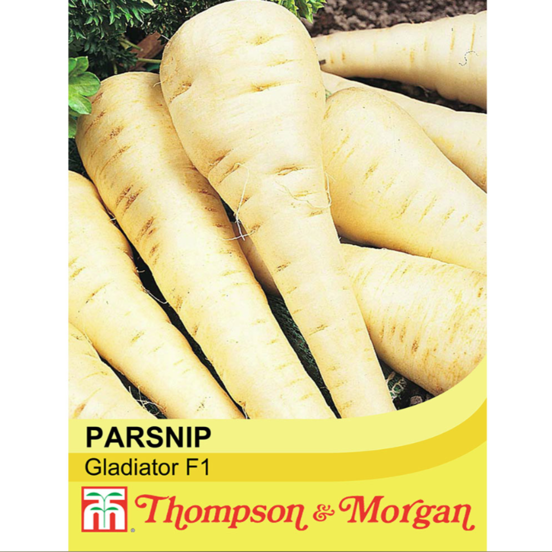 Thompson & Morgan - Parsnip Gladiator F1 Hybrid Seeds