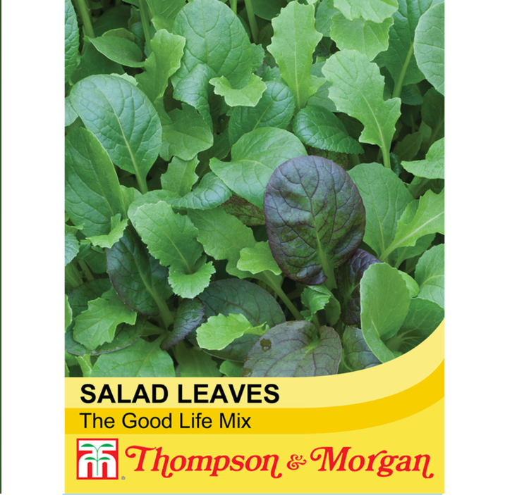 Thompson & Morgan - Salad Leaves - Winter Greens The Good Life Mixed