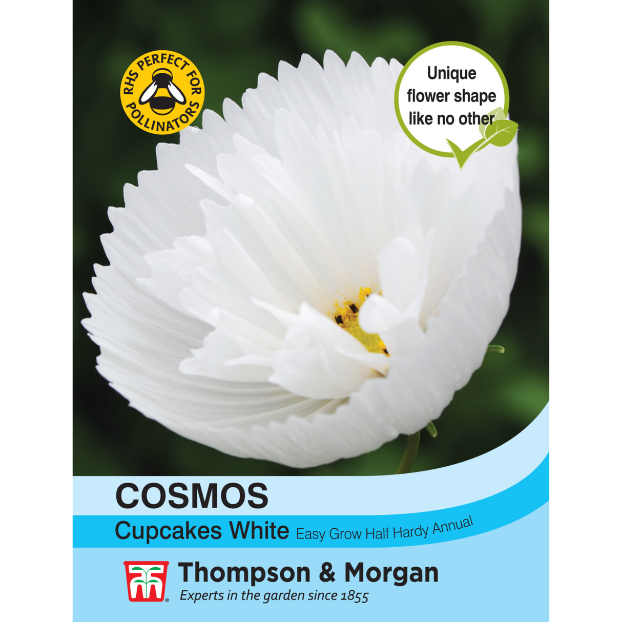 Thompson & Morgan - Cosmos Cupcakes White Seeds