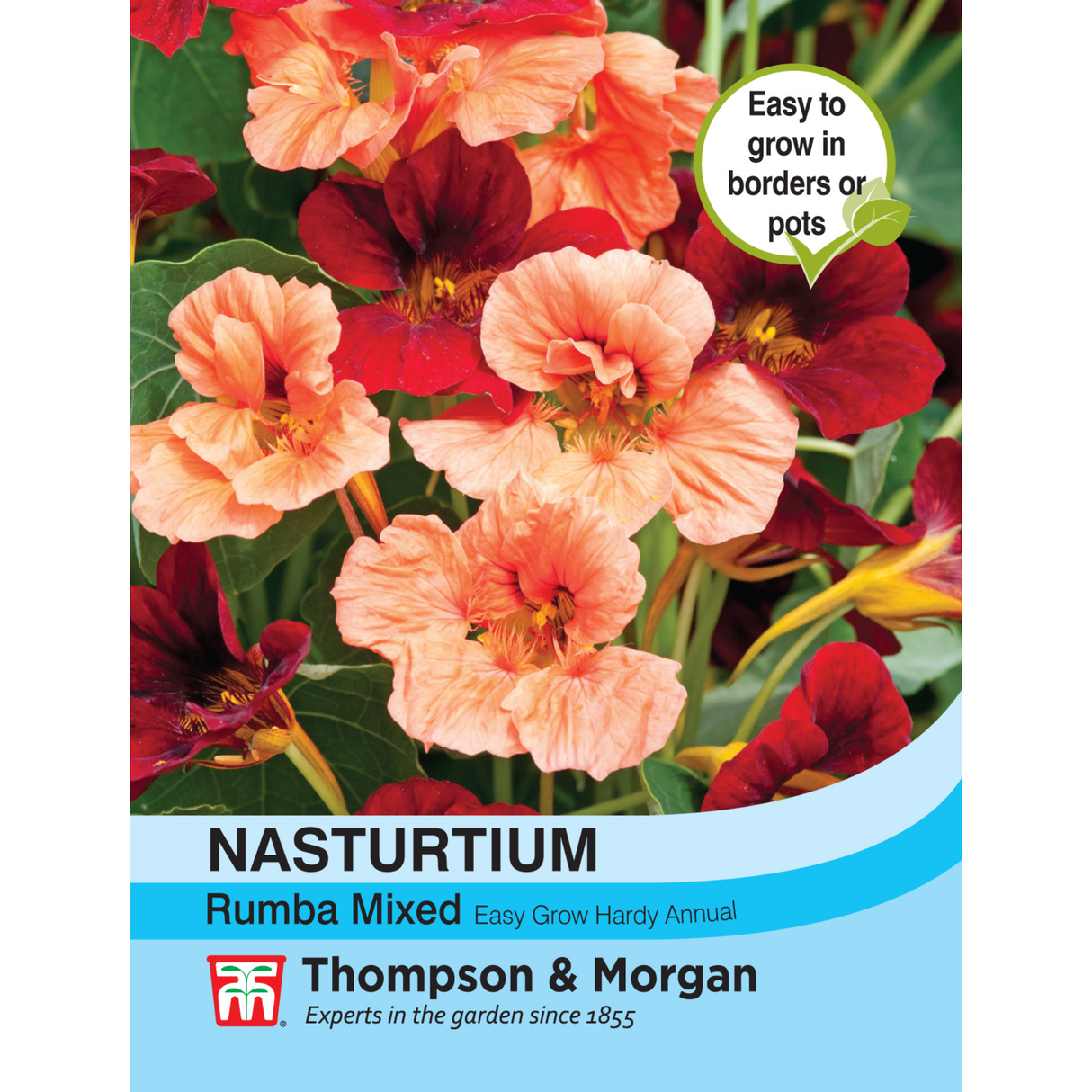 Thompson & Morgan - Nasturtium Rumba Mixed Seeds