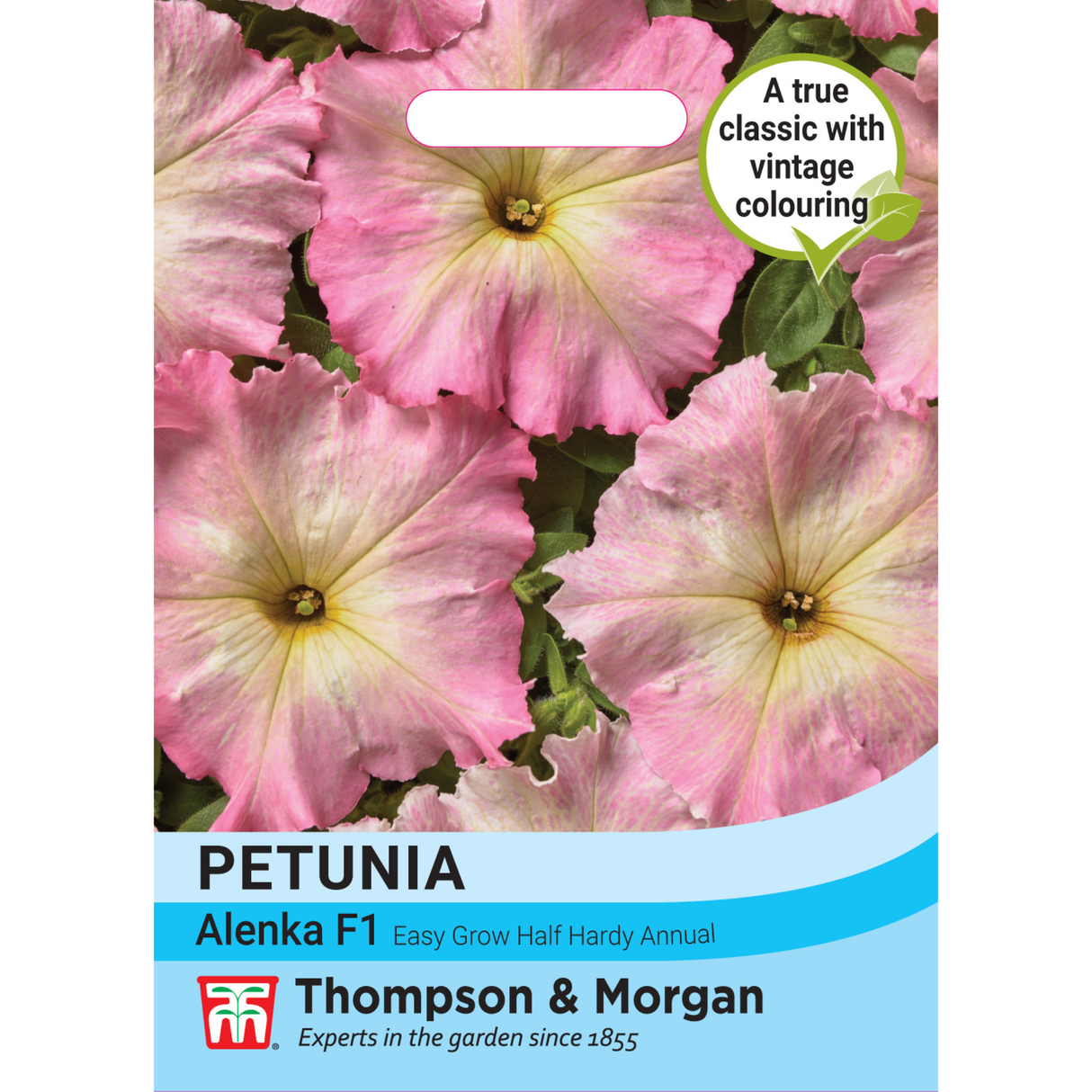 Thompson & Morgan - Petunia Hybria Multiflora Alenka F1 Seeds