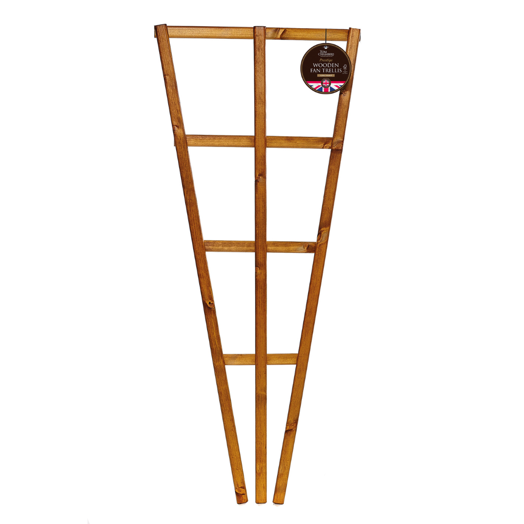 Tom Chambers Prestige Wooden Fan Trellis 120x50cm