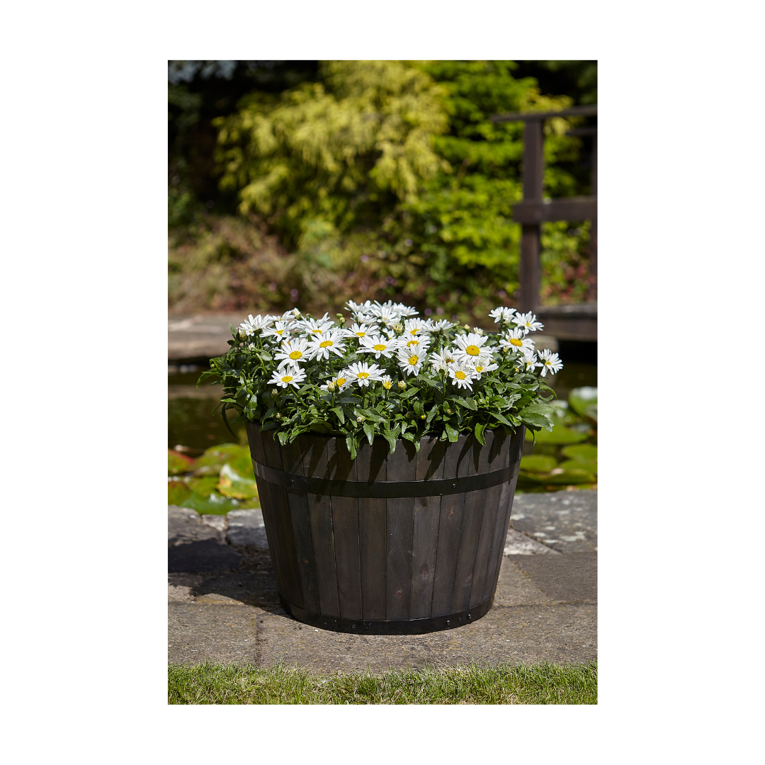 Tom Chambers Whiskey Barrel Planter Large