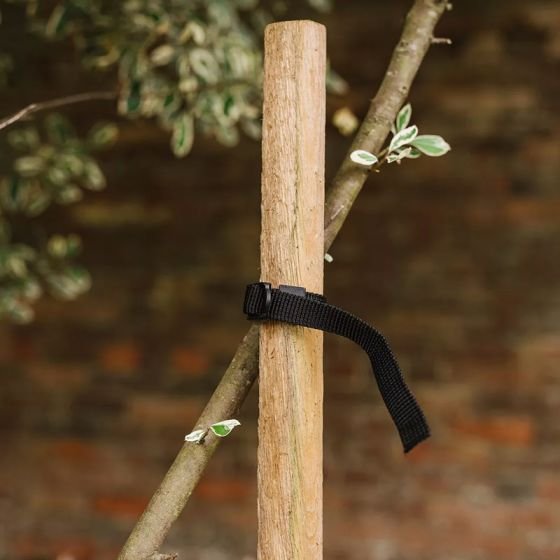 Grow It Tree Stakes 120cm