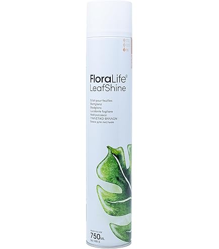 Leaf Shine Spray Can 750ml