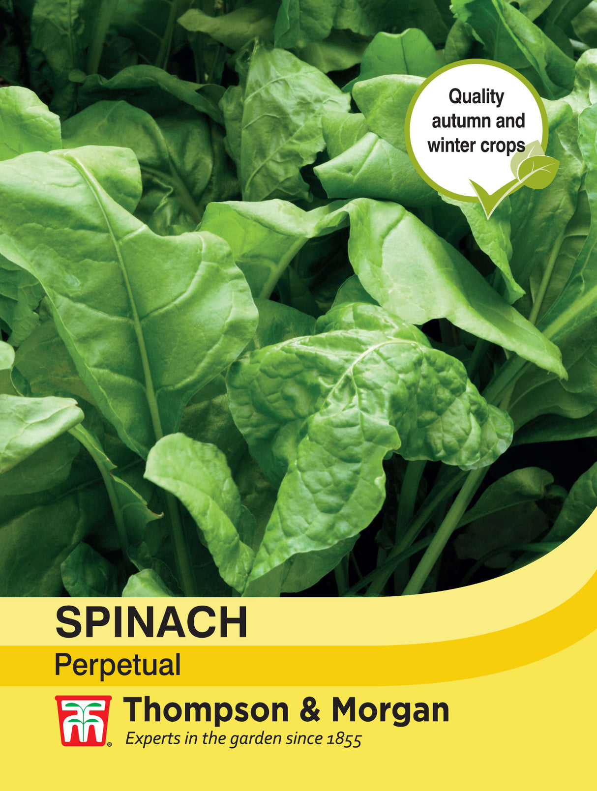 Thompson & Morgan - Spinach Perpetual Seeds