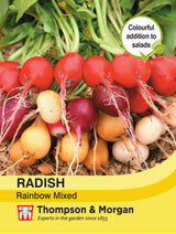 Thompson & Morgan - Radish Rainbow Mixed Seeds