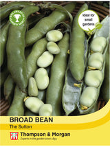 Thompson & Morgan - Broad Bean The Sutton