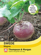 Thompson & Morgan - Swedes Magres Seeds