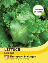 Thompson & Morgan - Lettuce Lakeland Seeds
