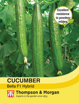 Thompson & Morgan - Cucumber Bella Seeds