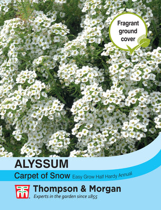 Thompson & Morgan - Alyssum Carpet Of Snow Seeds