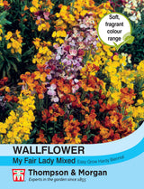 Thompson & Morgan - Wallflower My Fair Lady Mixed Seeds