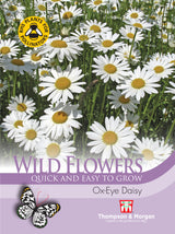 Thompson & Morgan - Wild Flower Ox-Eye Daisy Seeds