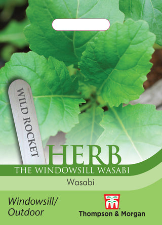Thompson & Morgan - Herb Wild Rocket Wasabi Seeds