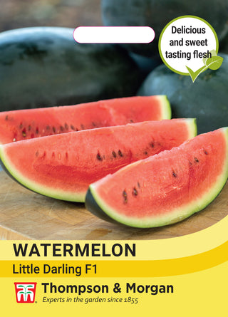 Thompson & Morgan - Watermelon Little Darling F1 Seeds