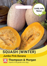 Thompson & Morgan - Squash Winter Jumbo Pink Banana Seeds