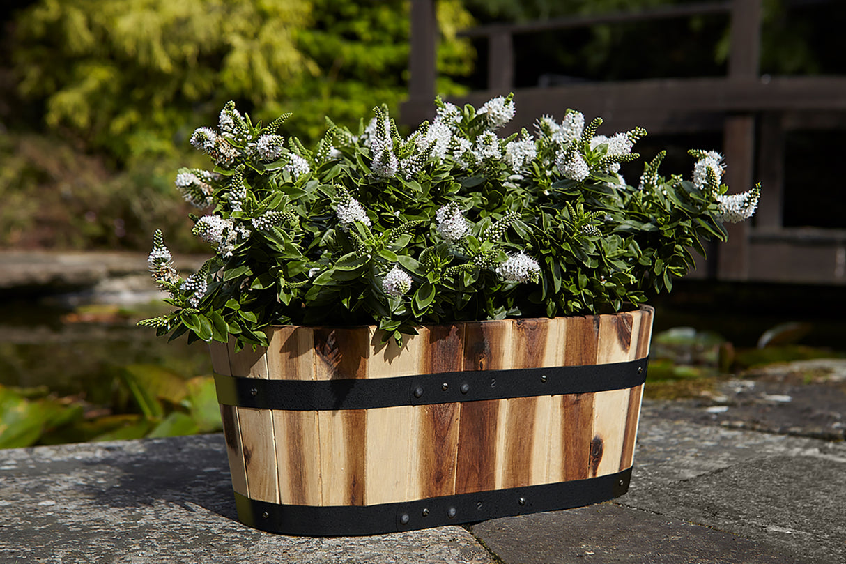 Applewood Trough Planter Medium