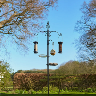 Tom Chambers All Season Bird Feeding Station