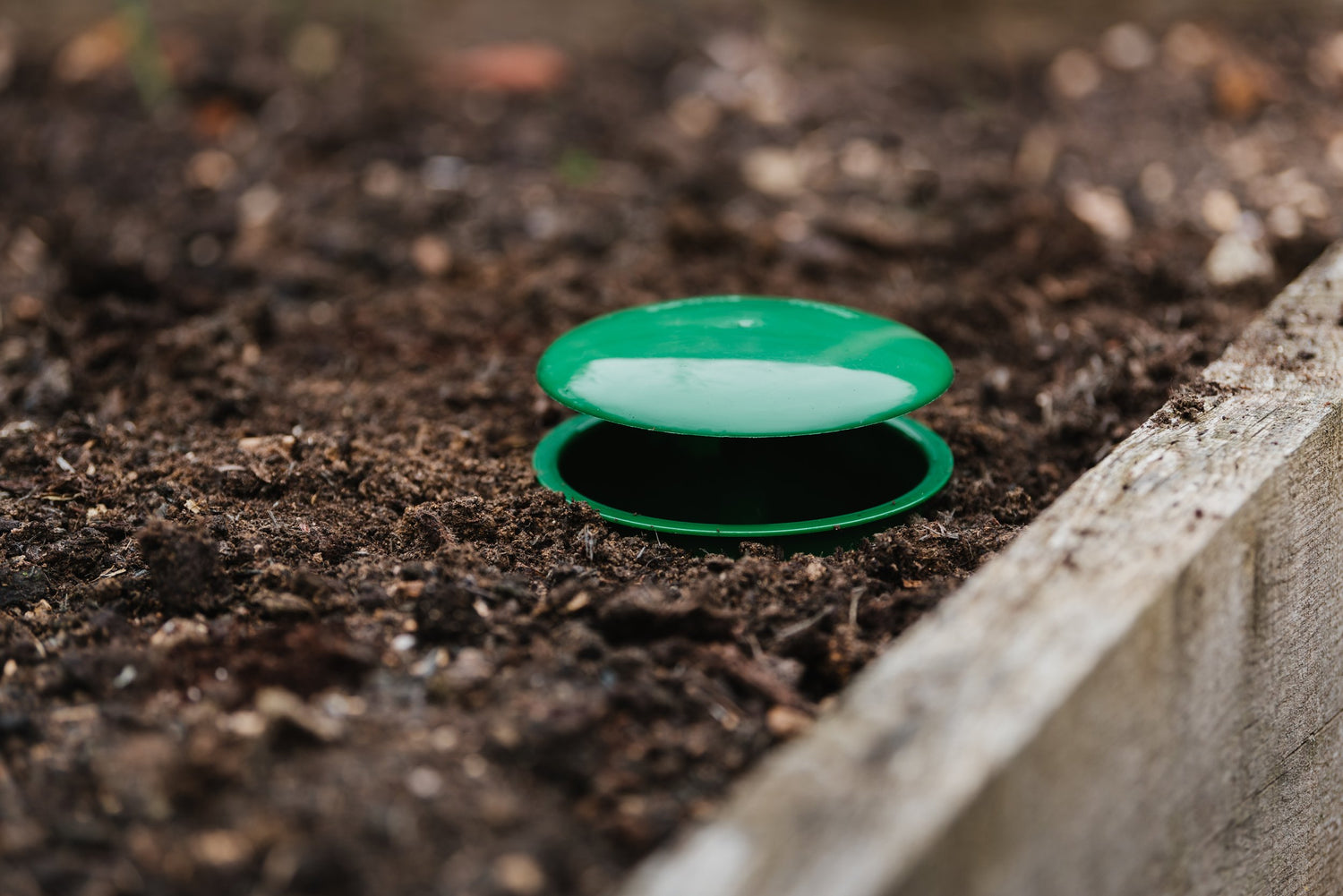 Growing Success Slug & Snail Trap