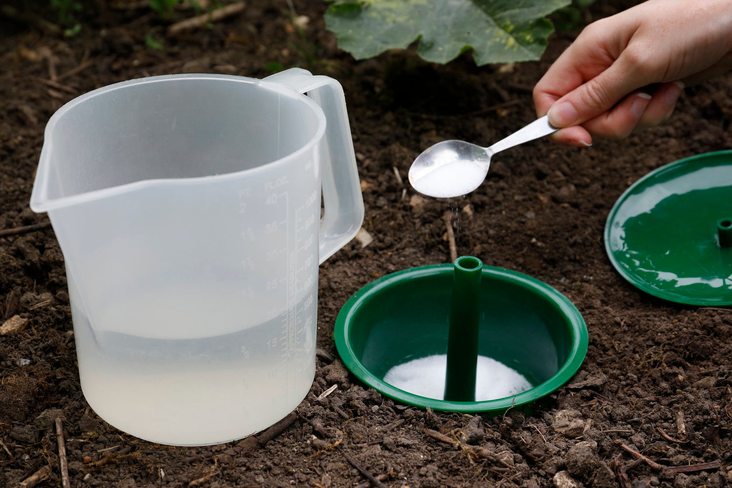 Growing Success Slug & Snail Trap