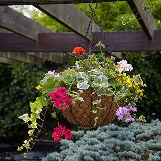Tom Chambers Decorative Hanging Basket