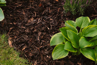 Landscape Bark 90L