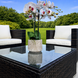 Miami Rattan Outdoor Sofa Set