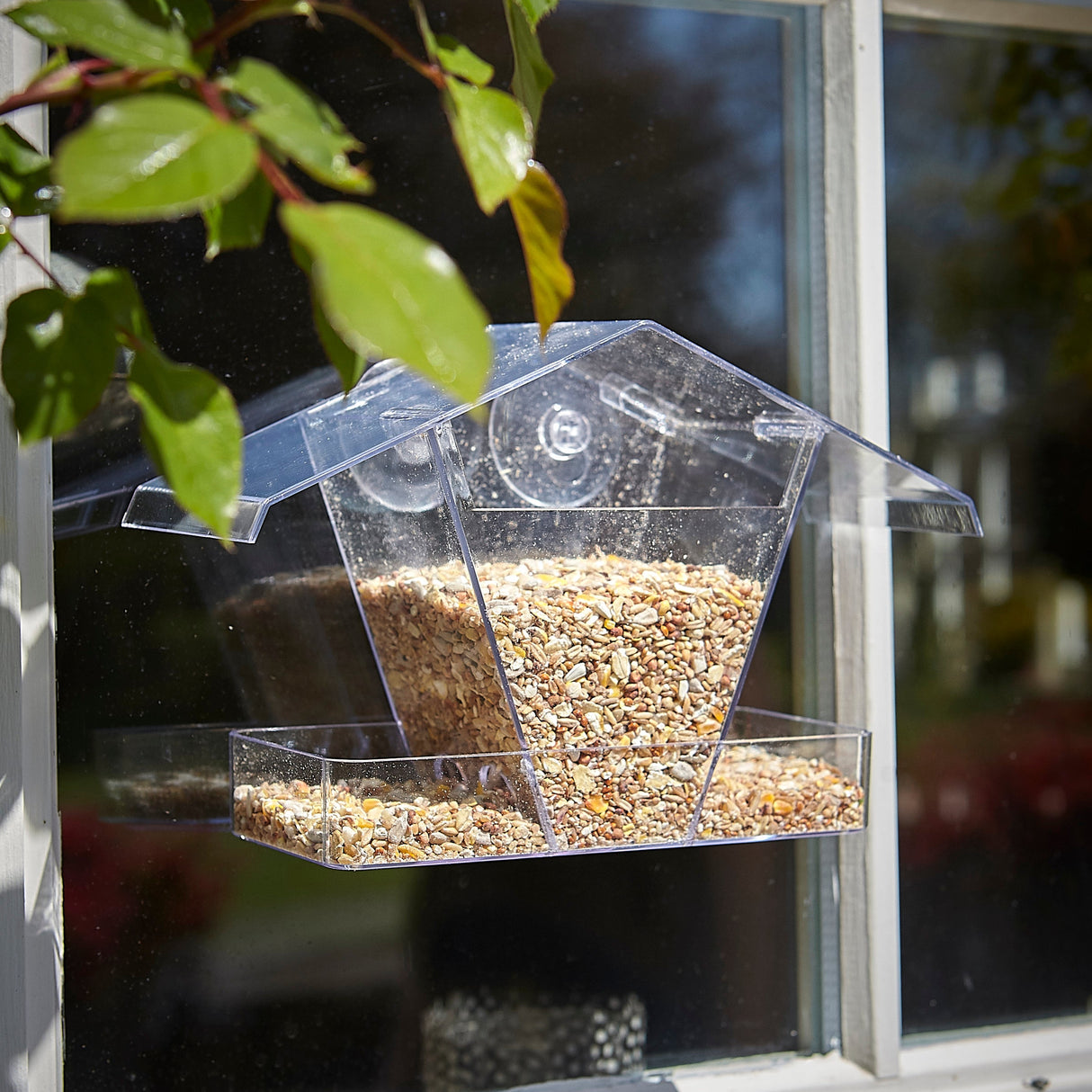 Tom Chambers Window Feeder