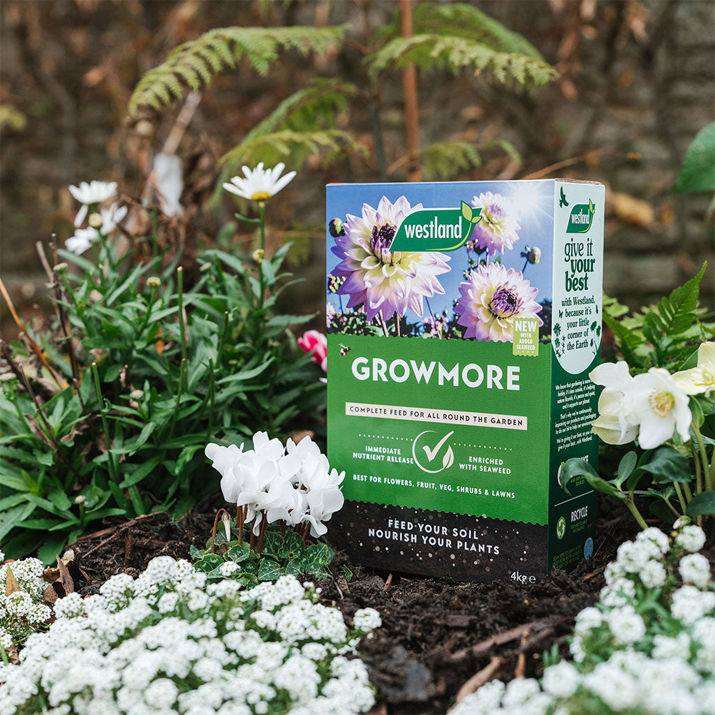 Westland Growmore 4kg
