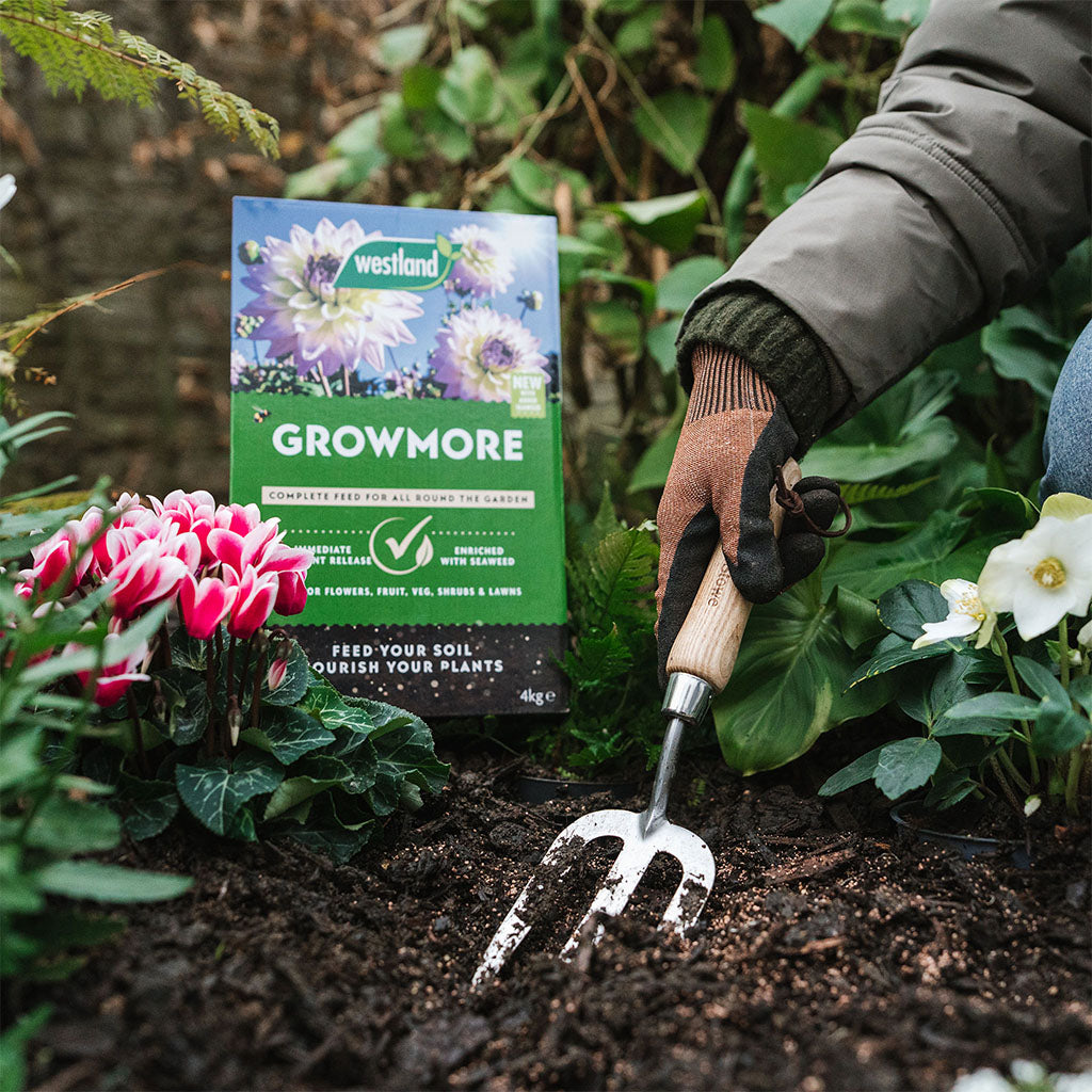 Westland Growmore 4kg