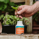 Westland Rooting Gel 150ml
