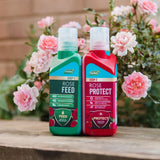Westland Rose Feed & Protect 2x500ml