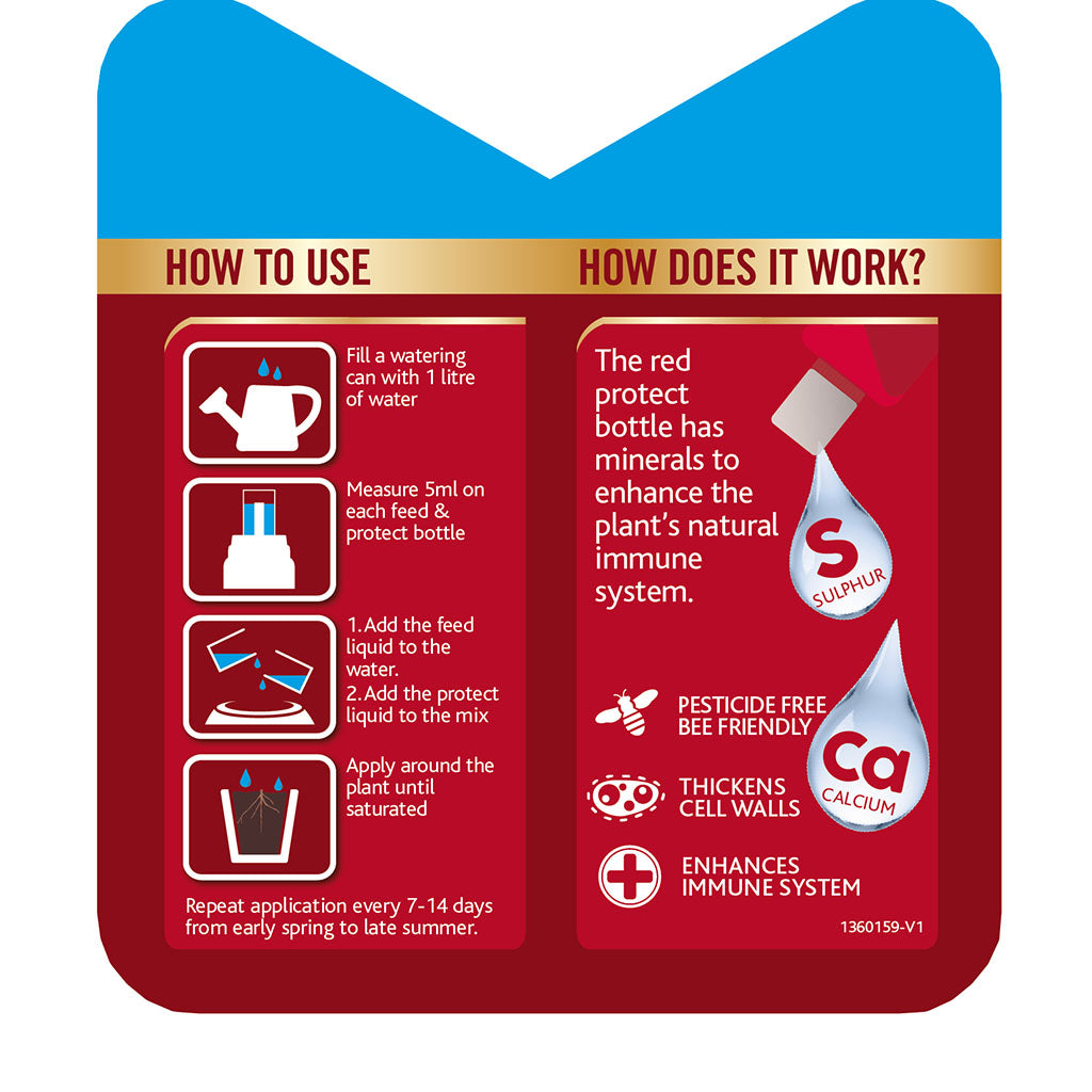 Westland Rose Feed & Protect 2x500ml