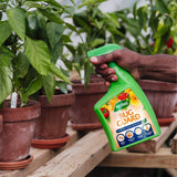 Westland Bug guard RTU 800ml