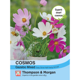 Thompson & Morgan - Cosmos Gazebo Mixture Seeds