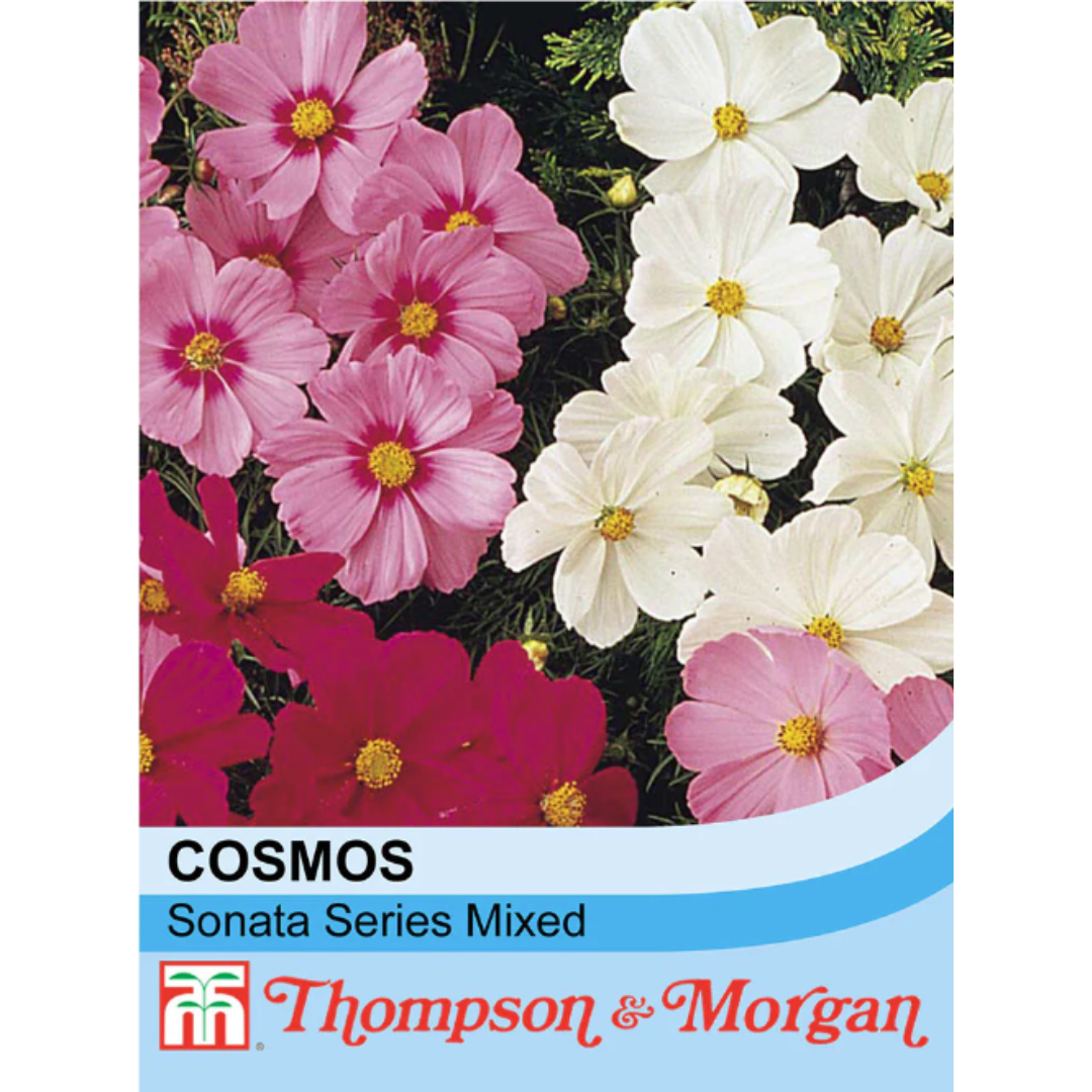 Thompson & Morgan - Cosmos Sonata Mixed Seeds
