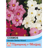 Thompson & Morgan - Cosmos Sonata Mixed Seeds