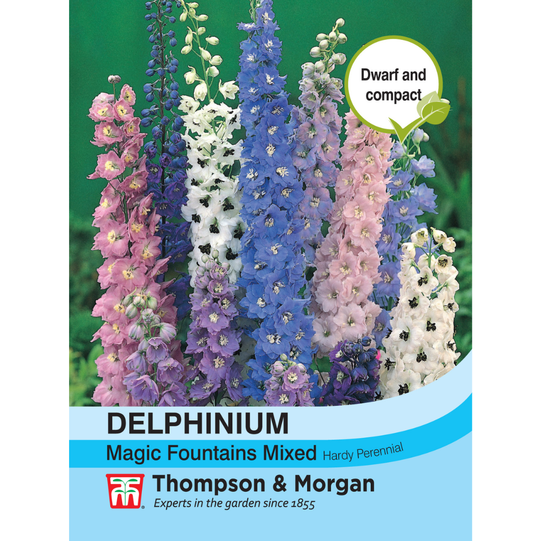 Thompson & Morgan - Delphinium Magic Fountains Seeds