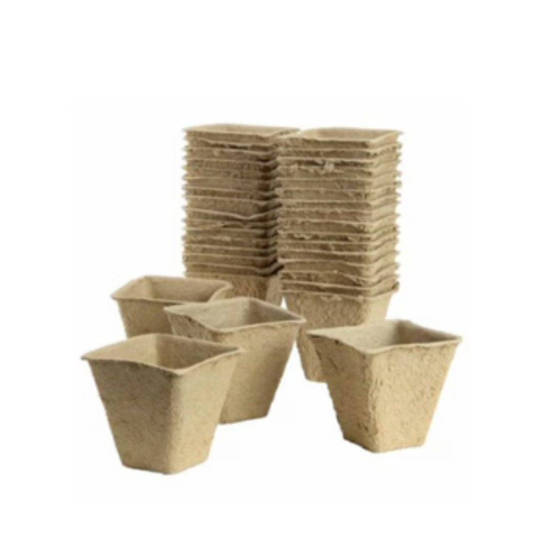 Gro-Sure Fibre Pots Square 6cm 20pack