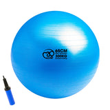 300kg anti-burst Swiss ball with pump 65cm