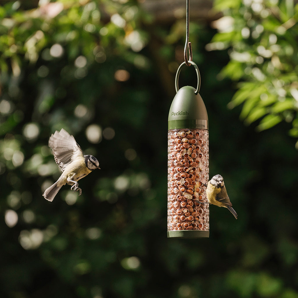 Peckish Peanut Ready to Use Feeder